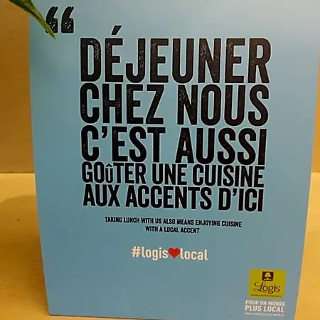 Logis Lyon Est Porte De L'ain 4* Saint-Maurice-de-Beynost
